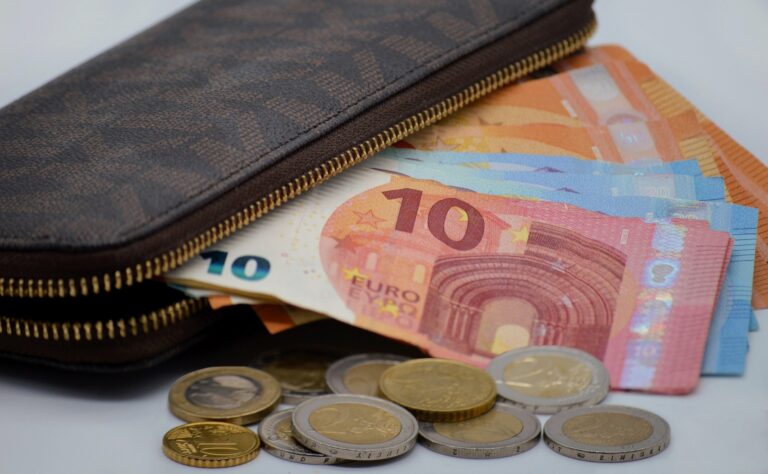 neelam279-money-7325645_1920